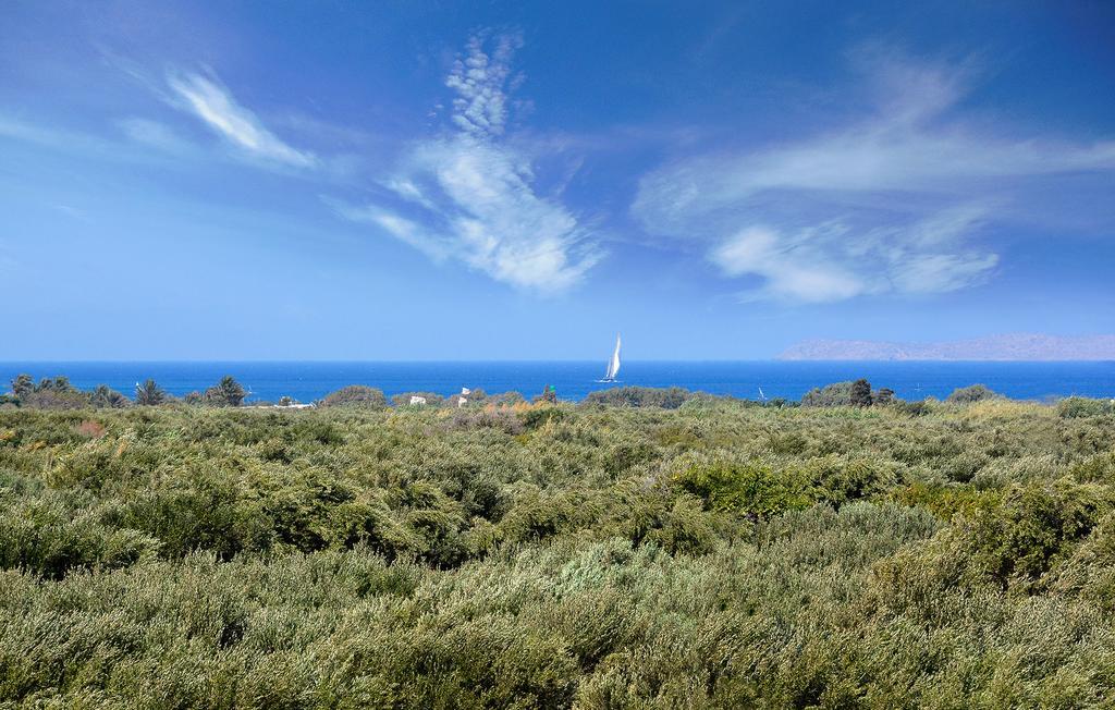 Olive Coast Suites Palekastro Exterior photo